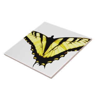 Eastern Tiger Swallowtail Butterfly Photo Tile