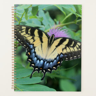 Eastern Tiger Swallowtail Butterfly Planner