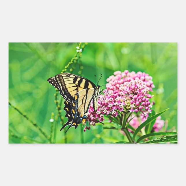 Eastern Tiger Swallowtail Butterfly Sticker (Front)