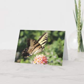Eastern tiger swallowtail holiday card
