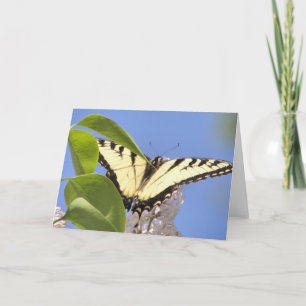 Eastern Tiger Swallowtail takes flight Holiday Card