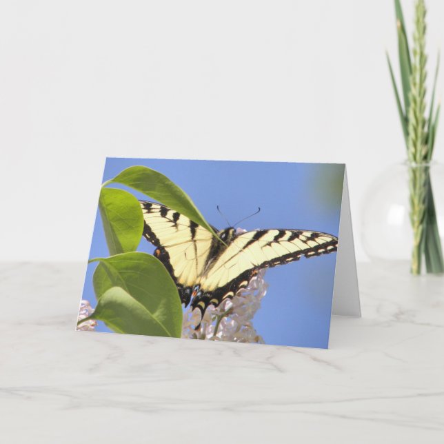 Eastern Tiger Swallowtail takes flight Holiday Card (Front)