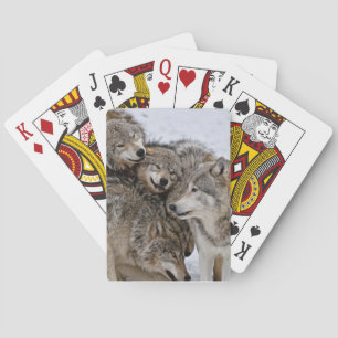 Eastern Timber Wolf Playing Cards