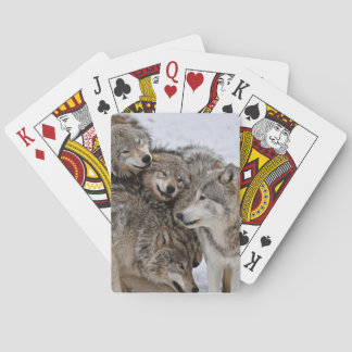 Eastern Timber Wolf Playing Cards