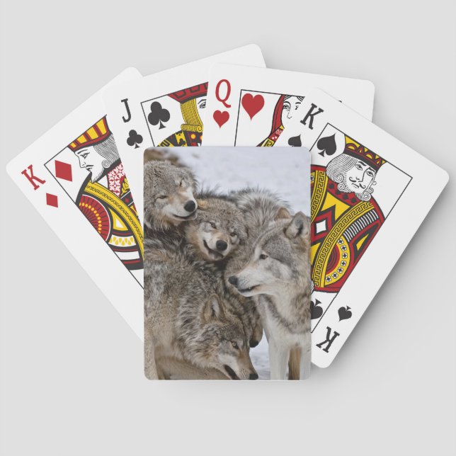 Eastern Timber Wolf Playing Cards (Back)