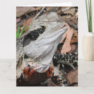 Eastern Water Dragon Card