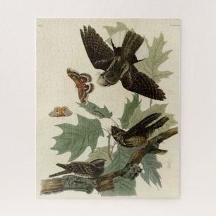 Eastern Whip-poor-will, Audubon's Birds of America Jigsaw Puzzle