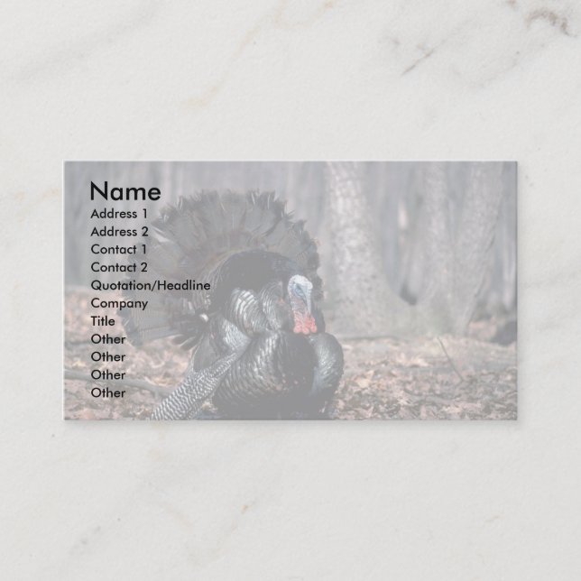 Eastern wild turkey strutting in woods business card (Front)