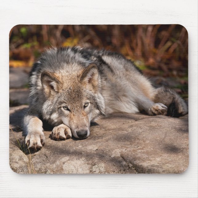 Eastern Wolf Mouse Pad (Front)