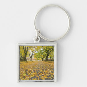 Eastmoreland In Autumn road and tree view Keychain