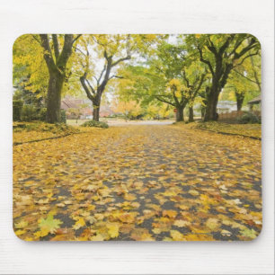 Eastmoreland In Autumn road and tree view Mouse Pad