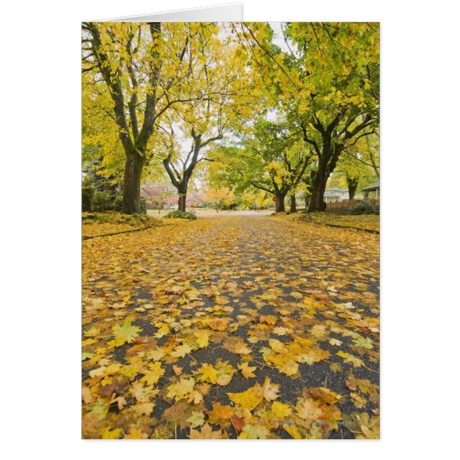 Eastmoreland Neighbourhood In Autumn (Front)