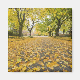 Eastmoreland Neighbourhood In Autumn Magnet