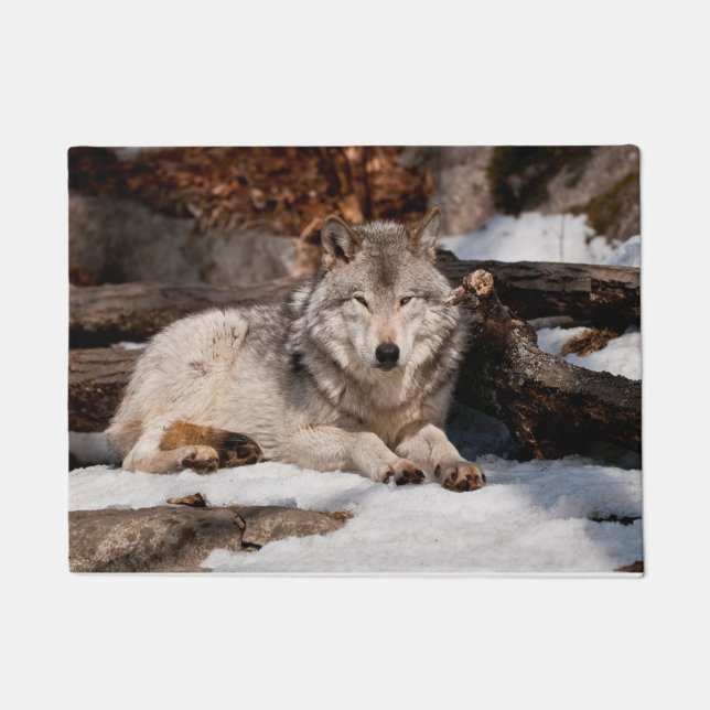 Easttern Grey Wolf Doormat (Front)