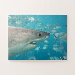 Easy Fun Blue Kids Shark Jigsaw Puzzle