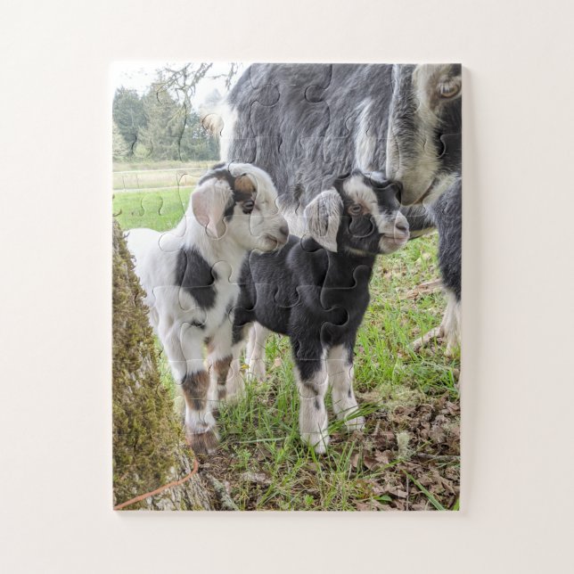 Easy Goat Baby Puzzle (Vertical)