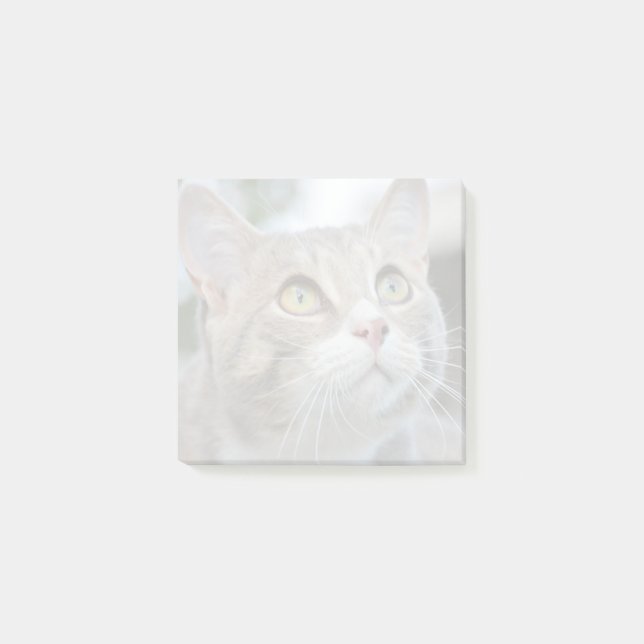 Easy Make Your Own Faded Pet Photo Post It Notes (Front)