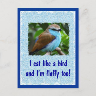 Eat Like a Bird 2 Postcard