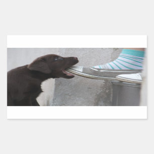 Eat My Shoe! Labrador Puppy Sticker