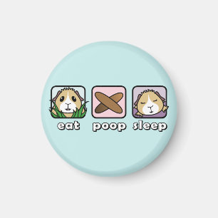 Eat Poop Sleep Guinea Pig Fridge Magnet