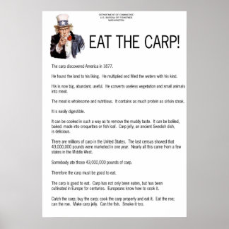 Eat the Carp! Poster