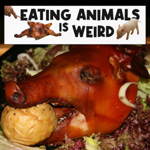 Eating Animals is Weird, Vegan Activism   Bumper Sticker