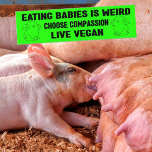 Eating Babies is Weird, Vegan Activism,  Bumper Sticker