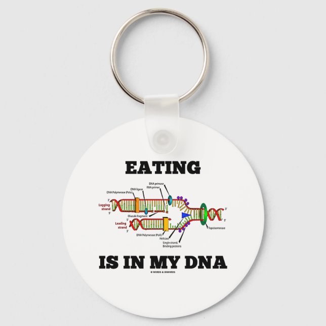 Eating Is In My DNA (DNA Replication Humour) Keychain (Front)