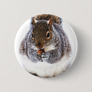 Eating Squirrel 2 Inch Round Button