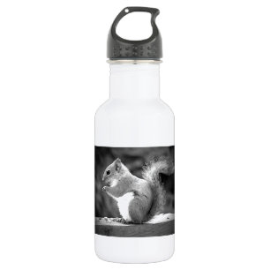 Eating Squirrel 532 Ml Water Bottle