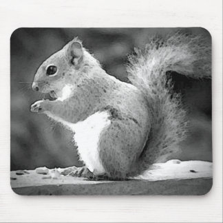 Eating Squirrel Mouse Pad