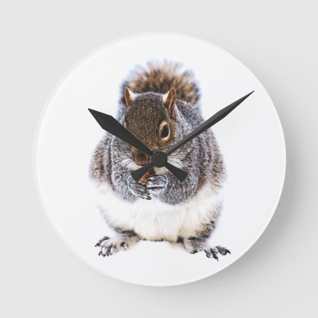 Eating Squirrel Round Clock (Front)
