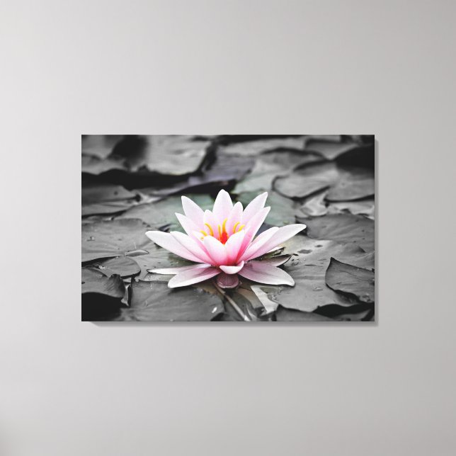 Eau Lily Plante aquatique toile étirée Imprimer (Recto)