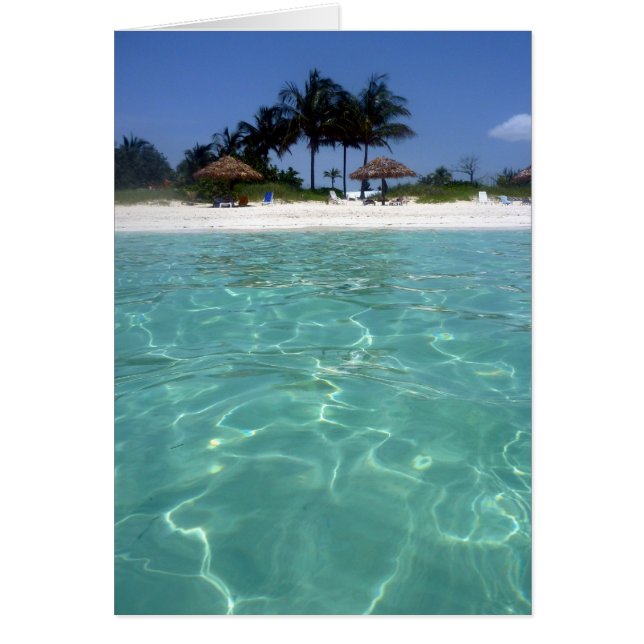 eaux claires bahamas (Devant)