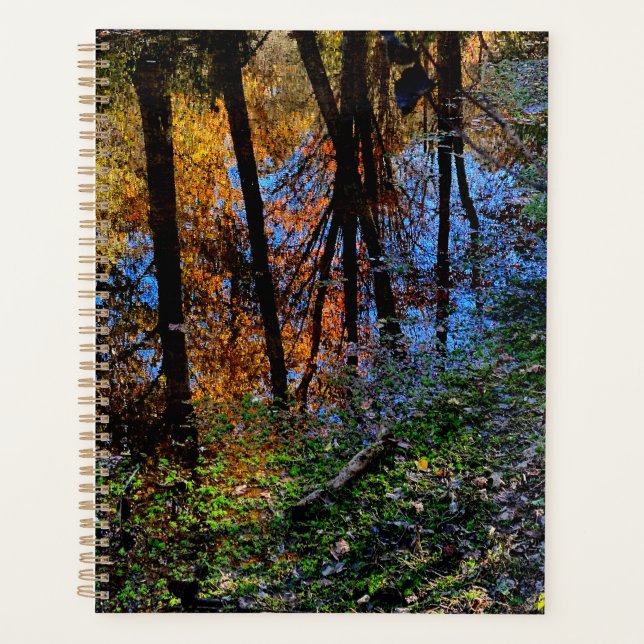 Eaux d'automne (Devant)