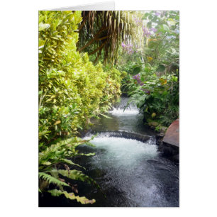 eaux du costa