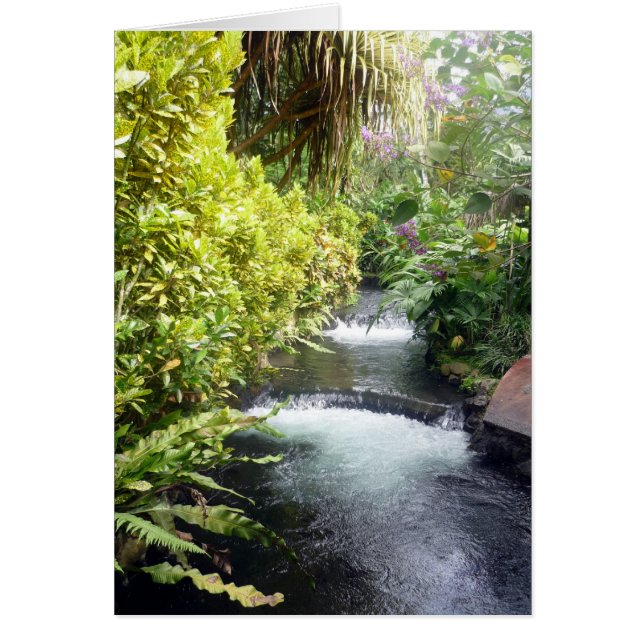 eaux du costa (Devant)