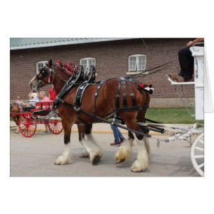Ébauche de chevaux à une foire d'état