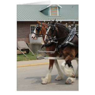 Ébauche de chevaux à une foire d'état