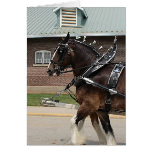 Ébauche de chevaux à une foire d'état