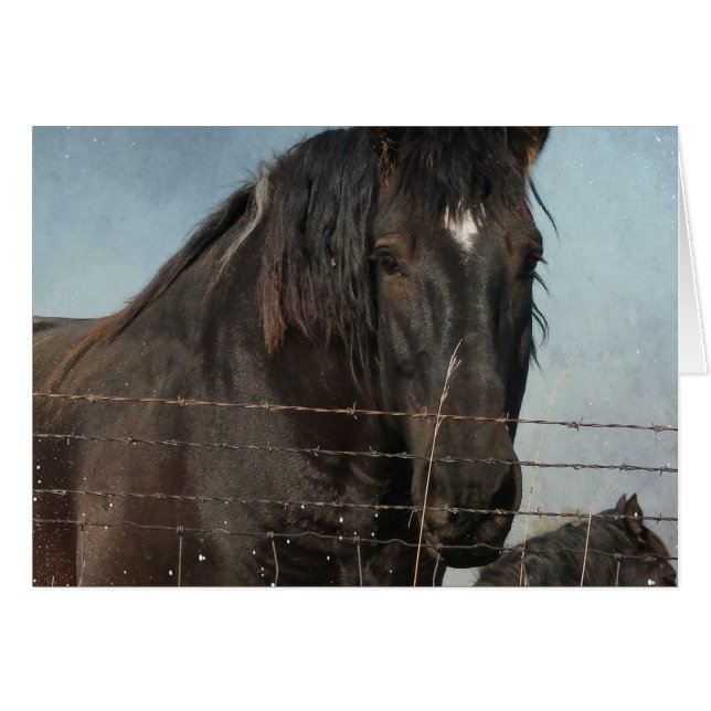Ébauche de chevaux dans un pâturage (Devant horizontal)