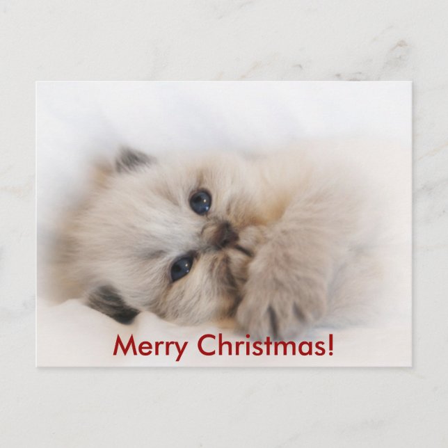 ebay 003, Merry Christmas! Holiday Postcard (Front)