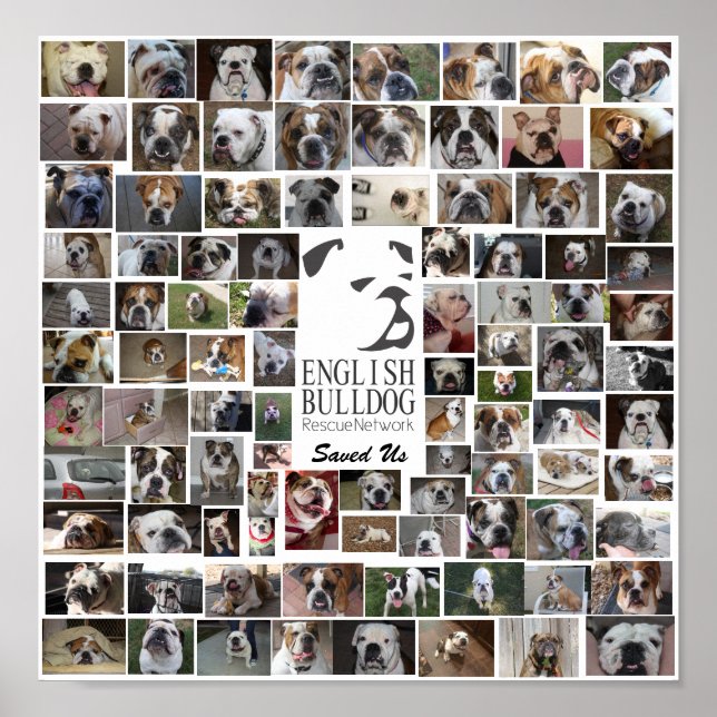 EBRN Rescue Poster (Front)