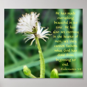 Ecclésiaste 3:11 impression