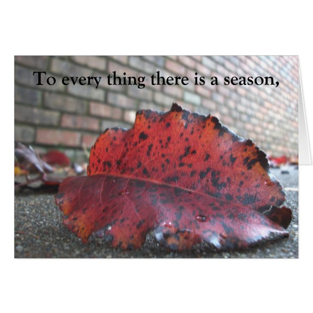 Ecclesiastes 3:1 (Front Horizontal)