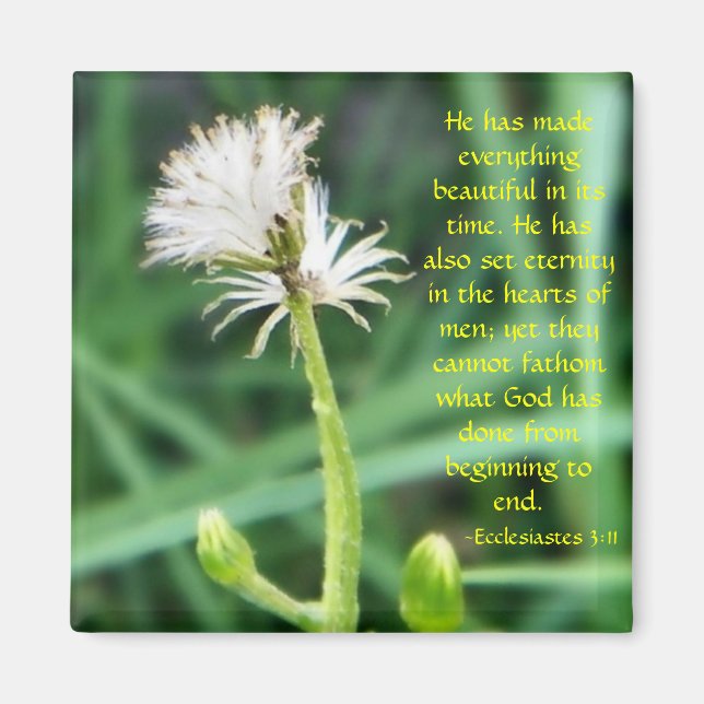 Ecclesiastes 3:11 aimant (Devant)