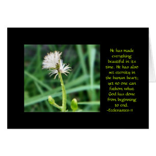Ecclesiastes 3:11 flower card