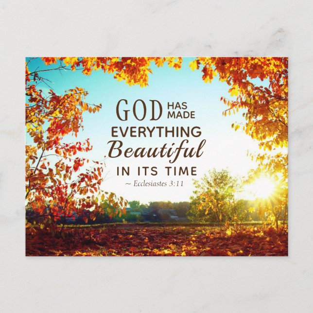 Ecclesiastes 3:11 He has made everything beautiful Postcard (Front)