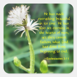Ecclesiastes 3:11 sticker