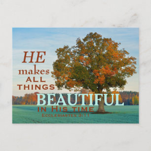 Ecclesiastes 3:11 Toutes choses belle Carte postal